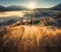 足球比分 删除-从足球比分删除事件看数字时代体育信息的脆弱性与保护